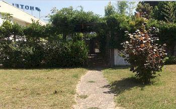 Ribeirotel Albergaria-a-Velha Dış mekan fotoğraf